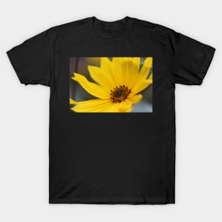 Floral Sunshine T-Shirt